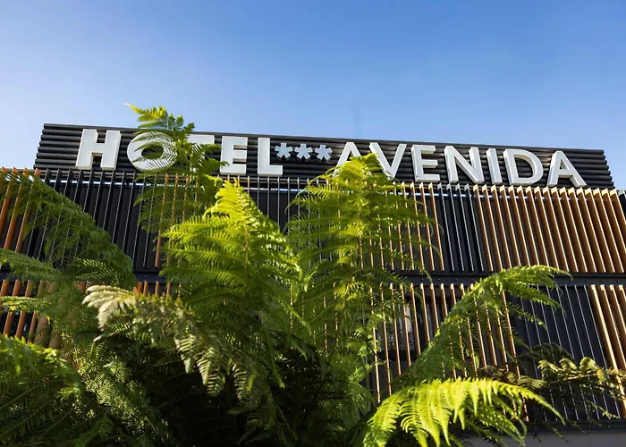 公寓 Avenida Lofts